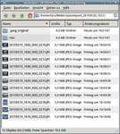 So sieht es dann im Browser aus